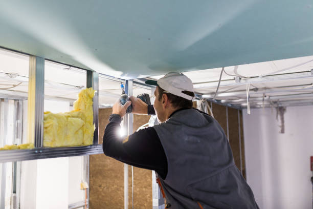 Best Insulation Installation Services in Silver Summit, UT