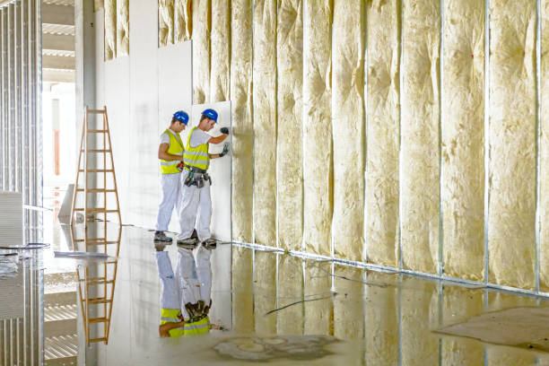 Best Commercial Insulation in Silver Summit, UT